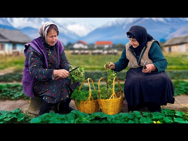 Traditional Malva Soup 🌿 | Grandma's Cozy Cooking in the Countryside