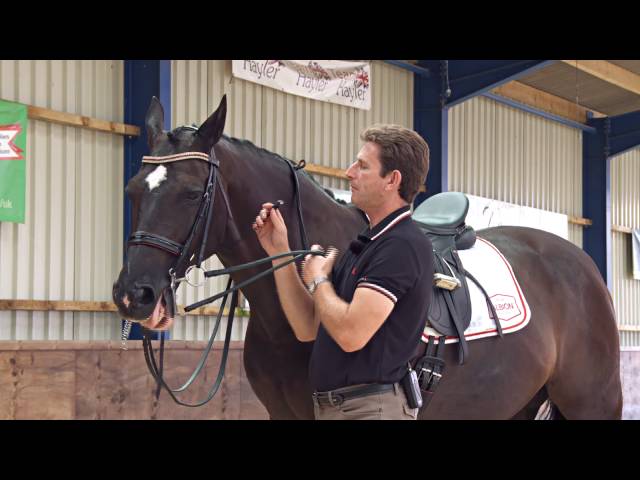 Fit a double bridle correctly with dressage rider and trainer Paul Hayler