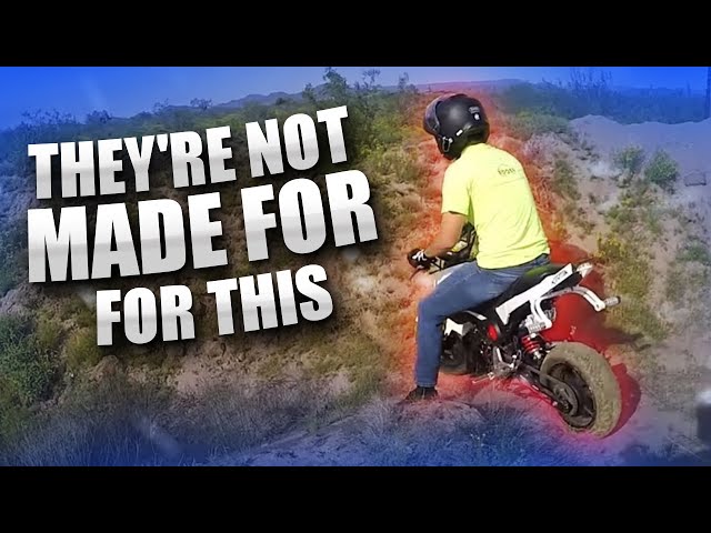 Riding Honda Groms Like Dirt Bikes! | Grom Adventures Episode 13 [Motovlog 355]