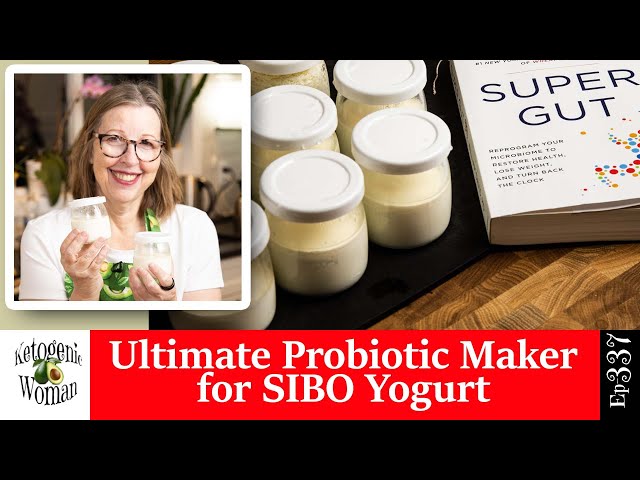 Ultimate Probiotic Maker for SIBO Yogurt | L.Reuteri Cultured Dairy using Tablets