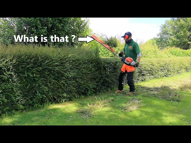 Trimming Hedges, PRO Attachment