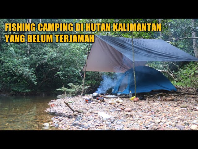 Fishing and camping In the untouched forest, harvest lots of fish /eps 11