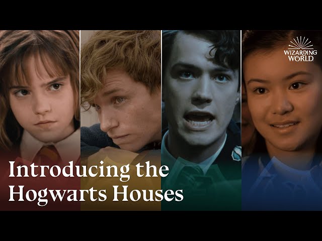 What If Each Hogwarts House Had a Trailer?