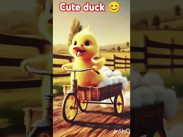 Cute duck very nice but sad // #shortsvideo #shortsviral #duck #cute #story