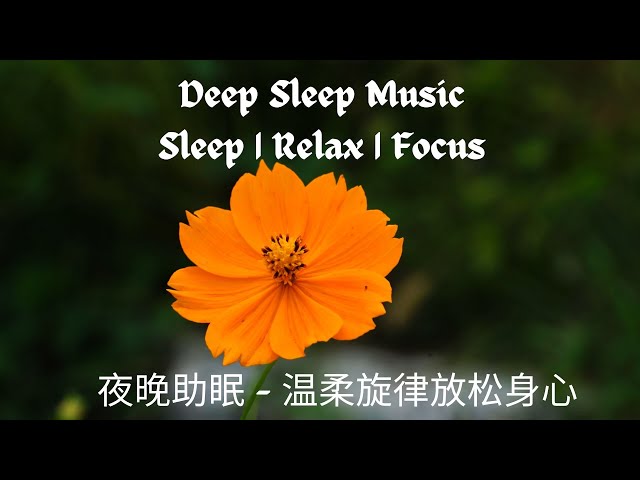 Deep Sleep Music  夜晚助眠 – 温柔旋律放松身心