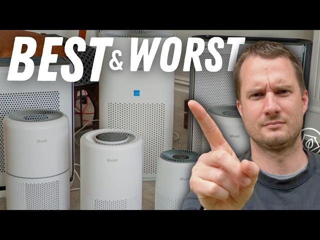 Best Levoit Air Purifier 2024 🔥 Cheap - Good - Performer