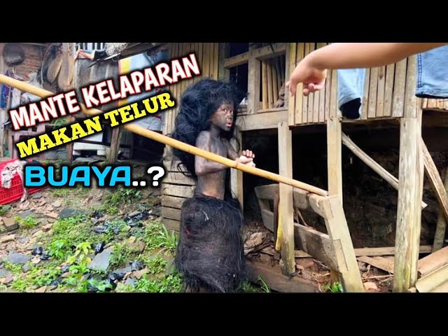 Viral ‼️NGERI SUKU MANTE KELAPARAN TAK SADAR MAKAN TELUR BUAYA🐊