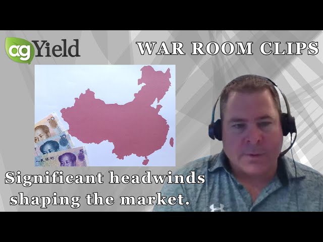 Economic challenges in China & other headwinds shaping the commodity markets. | The War Room Clips