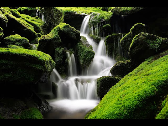 Amazing & Beautiful Nature With Relaxing 3D Music