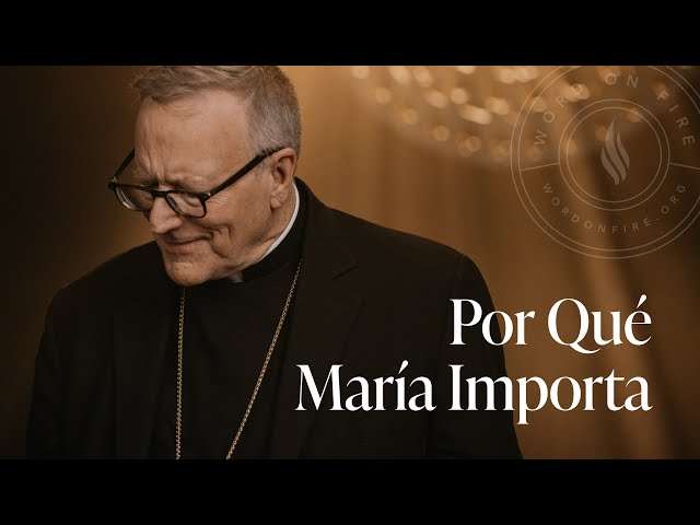 Por Qué María Importa — Sermón del Domingo del obispo Robert Barron