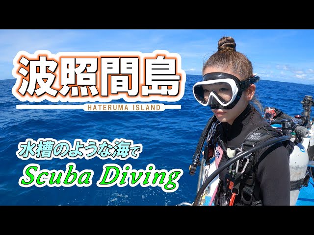 Scuba diving in Hateruma Island. Okinawa,JAPAN. Scuba diving in the very clear sea and white sand.