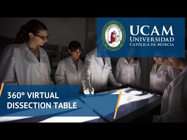 360º Virtual Dissection Table | UCAM Catholic University of Murcia