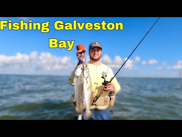 WADE FISHING Galveston Bay For SPECKLED TROUT! (Catch,Clean,Cook)