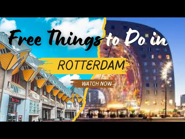 Free Things To Do In Rotterdam/ One day in Rotterdam #Exploremore