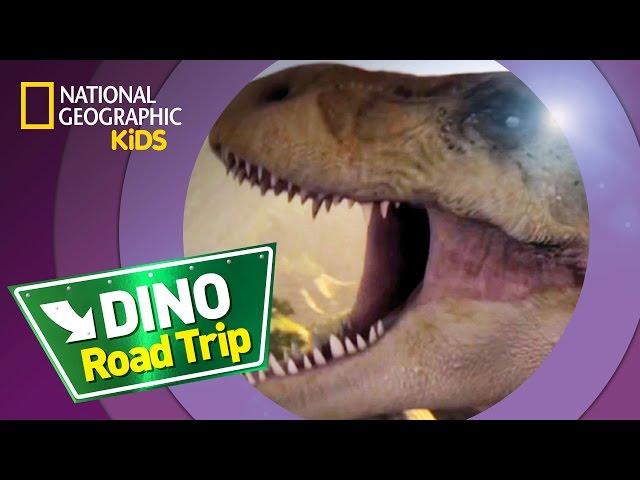 T. Rex | Dino Road Trip