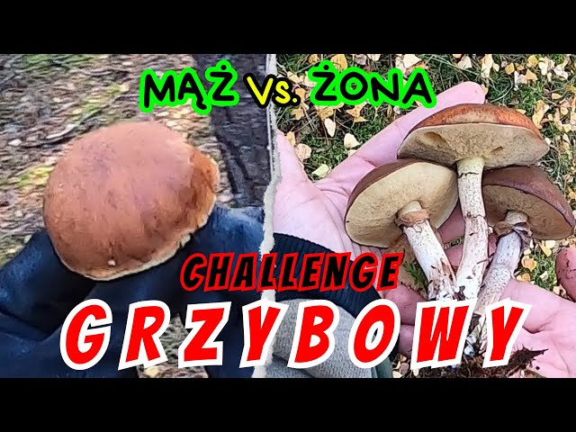 MUSHROOM CHALLENGE - HUSBAND VS WIFE #mushroom #pov #mushrooms