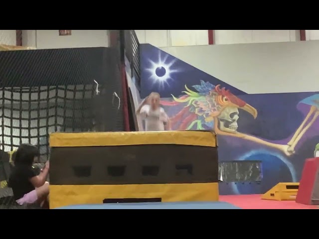 Lands a front flip first time