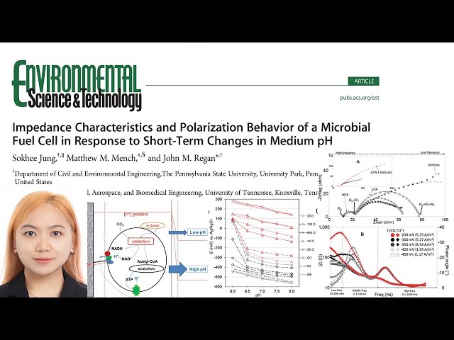 Impedance Characteristics and Polarization Behavior of MFC in Response to pH Changes