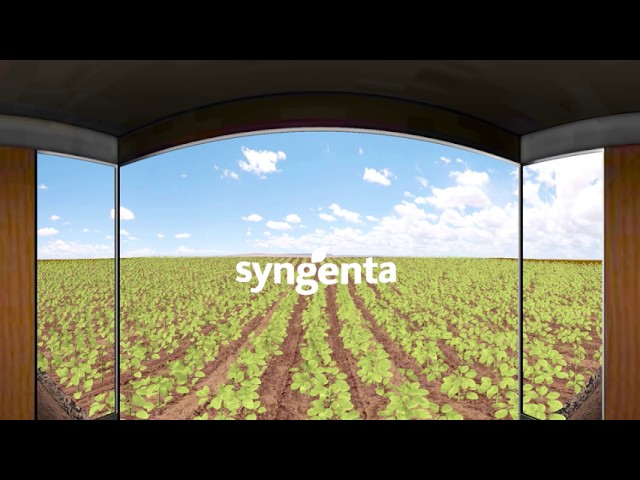 Journey to the Roots // Syngenta