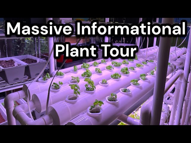 Massive Informational Plant Tour