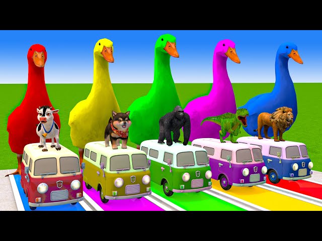 5 Giant Duck Cartoon,Cow,Tiger,Elephant,Lion,Dinosaur,Paint Wild Animals Crossing Fountain Animation