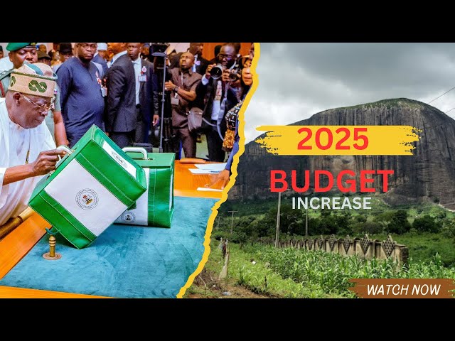 Nigeria's Budget just skyrocketed is This a Mistake?