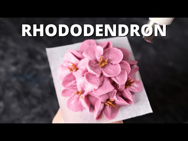 How to pipe buttercream rhododendron [ Cake Decorating For Beginners ]