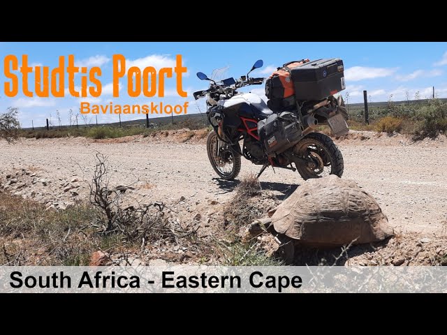 [249] Studtis Poort, Eastern Cape, South Africa (2022-01-26)