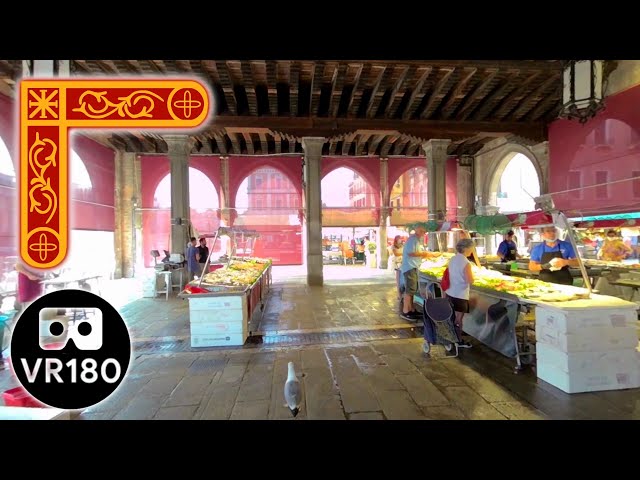 Venice VR - Fishmarket with sly intruders (Mercato di Rialto) - VR180 & 360 3D