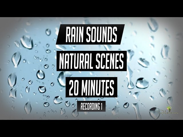 Thunderstorm Sounds 20 Minutes of Hurricane Florence from SC, Sleep Sounds Nature Scene Recording #1