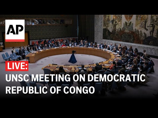 LIVE: UN Security Council meeting on the Democratic Republic of Congo