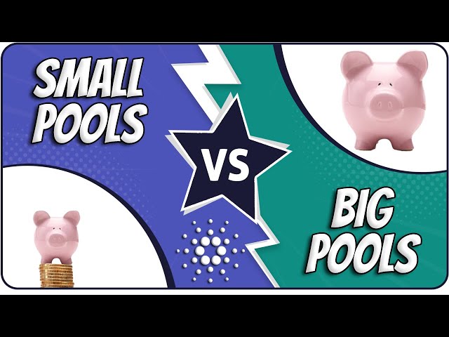 Small Vs Big Cardano Stake Pools | Facts To Consider!