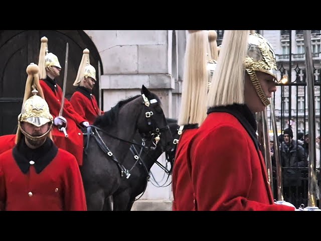 2025 JANUARY-THE LIFE GUARDS