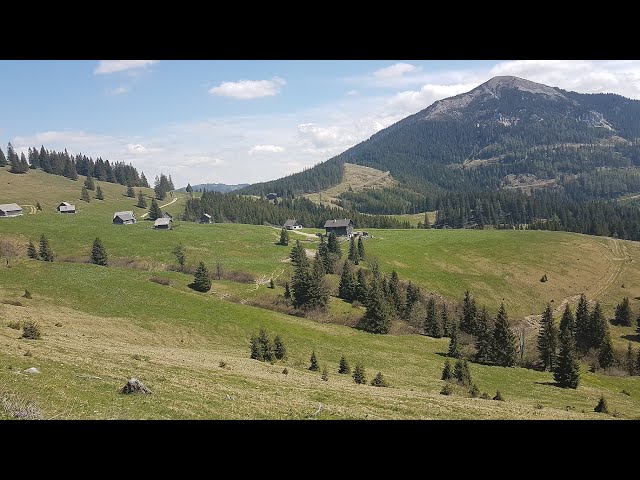 Göriacheralm - Turnaueralm - Rotsohlalm