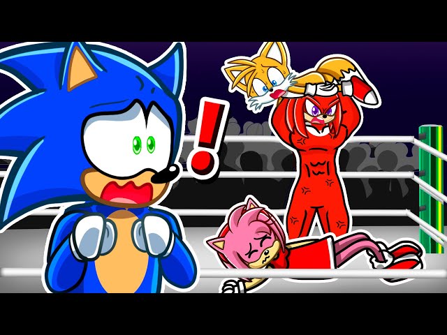 Sonic and Tails vs Knuckles and Amy in WWE…