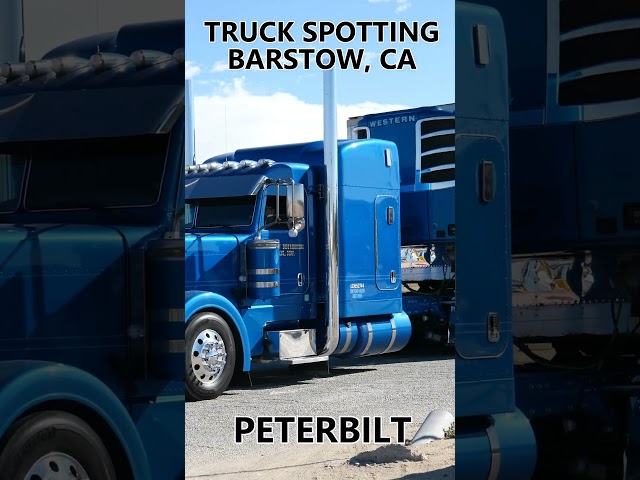 TRUCK SPOTTING #01814 / PETERBILT #automobile #semitrailer #trucking