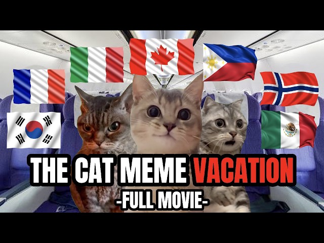 Cat MEMES: CAT MEME VACATION FULL MOVIE!!!