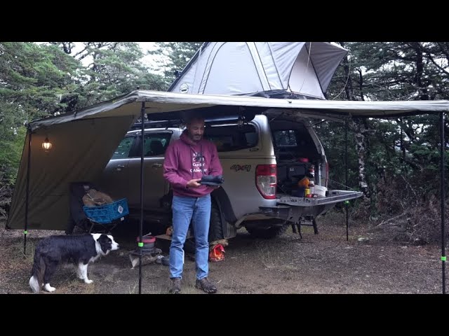 CAMPING in RAIN - Mountain - Roof Tent - Dog