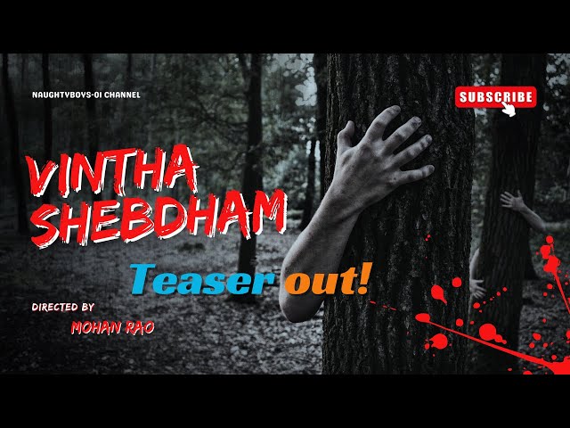 Vintha Shebdham Teaser | Naughty Boys|