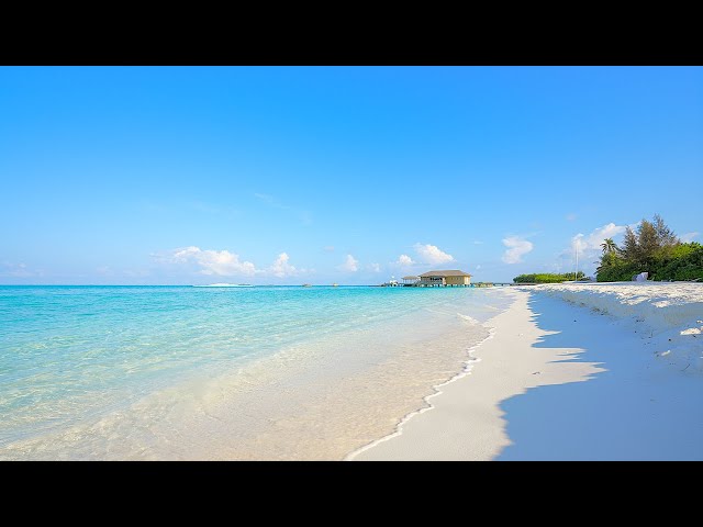 Paradise Found: Maldives Beach and Crystal Blue Waters. Ocean 4K Ultra HD