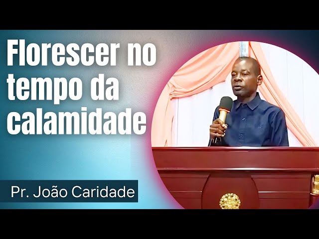 Florescer no tempo da calamidade - Pr. João Caridade (31/01/2025) - Igreja Real Assembleia Universal