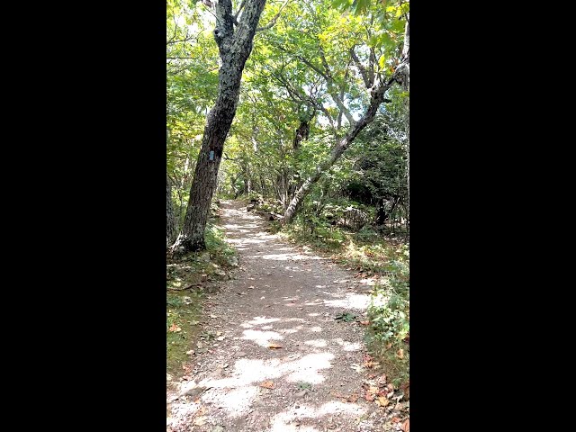 Hiking in Shenandoah