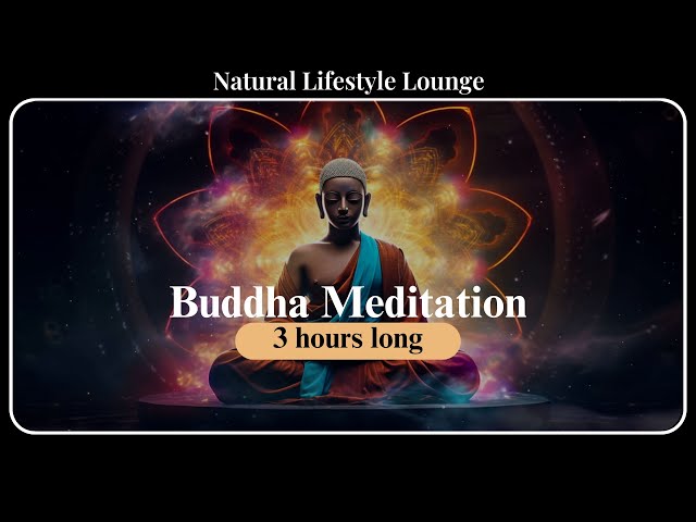 Buddhist Meditation Music for Positive Energy | Zen Music | 3 Hours