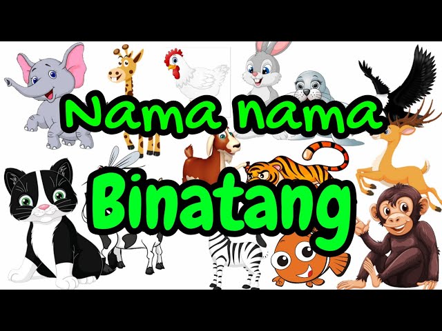 NAMA NAMA HEWAN DARI HURUF A SAMPAI Z | VIDEO EDUKASI ANAK