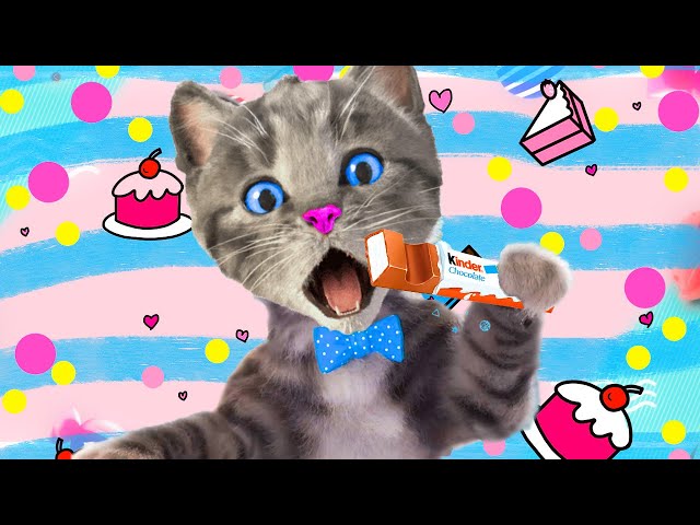 MEOW MY LITTLE KITTEN ADVENTURE SPECIAL - CUTE KITTY AND ANIMALS PLAYING TOGETHER - PET CARE