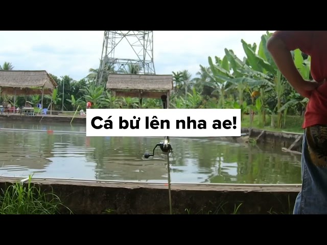 Bà độ khúc cuối lên cá bự!