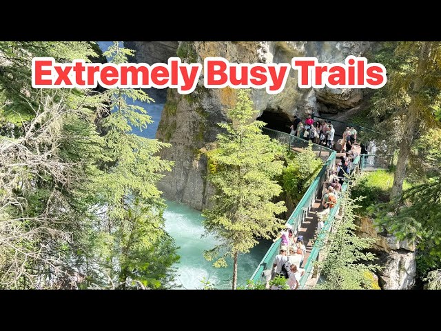 4K - Best Trails and Hikes in Johnston Canyon, Alberta, Canada 2024