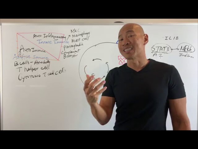 Autoimmune vs Autoinflammatory diseases