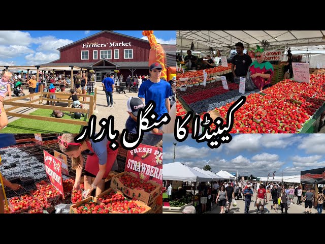 Shopping At Canadian Mangal Bazaar | St Jacob Farmer's Market | Largest Farmer Market In Canada 🇨🇦