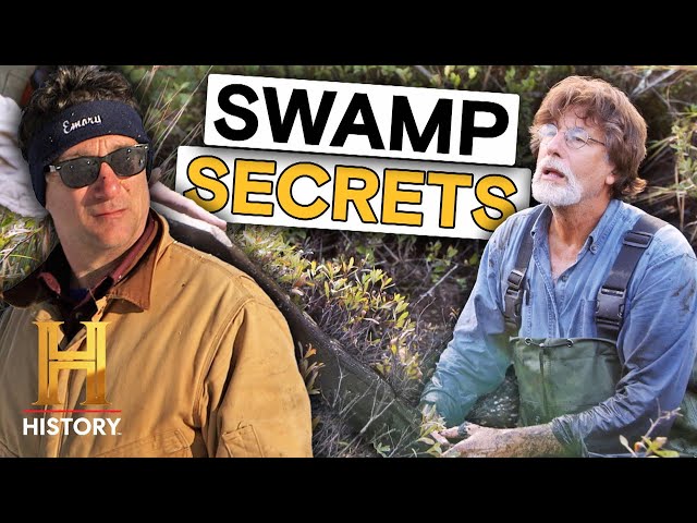 4 ASTONISHING SWAMP FINDS | The Curse of Oak Island